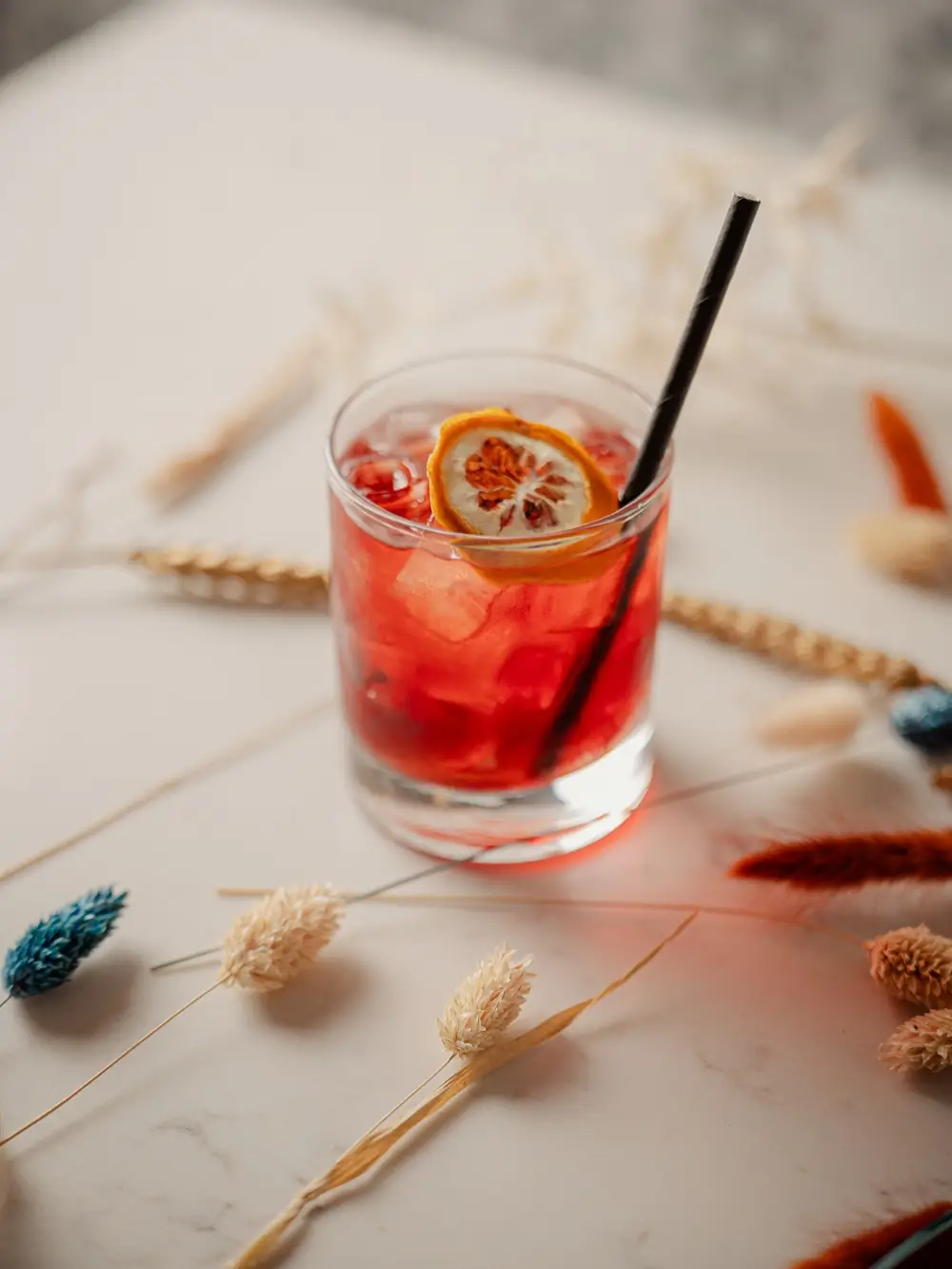 A Negroni Española with a dried orange wheel